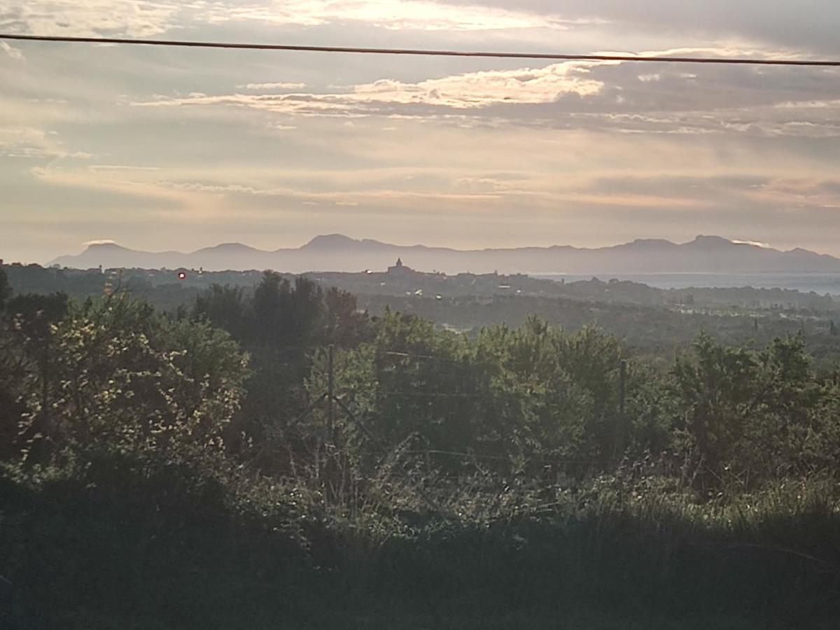 Subies Farm stay Selva (Mallorca)