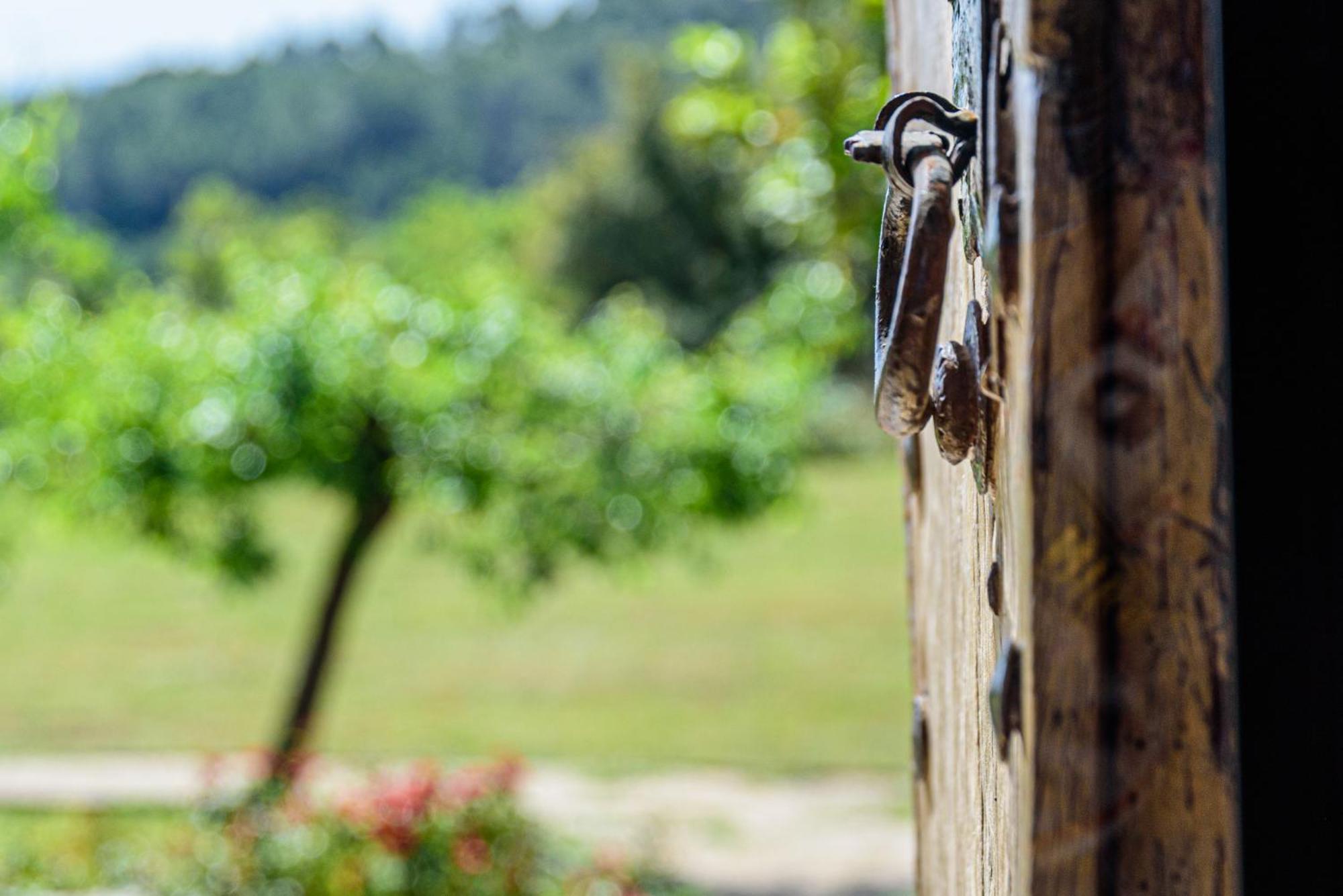 Farm stay Subies Selva (Mallorca)